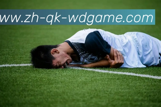 App Interface Preview